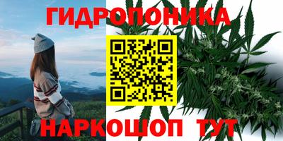 мдпв Ливны