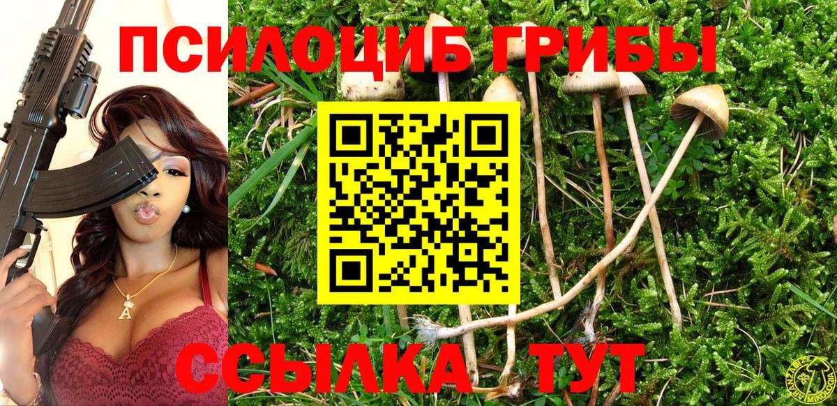 Галлюциногенные грибы GOLDEN TEACHER Верхний Уфалей