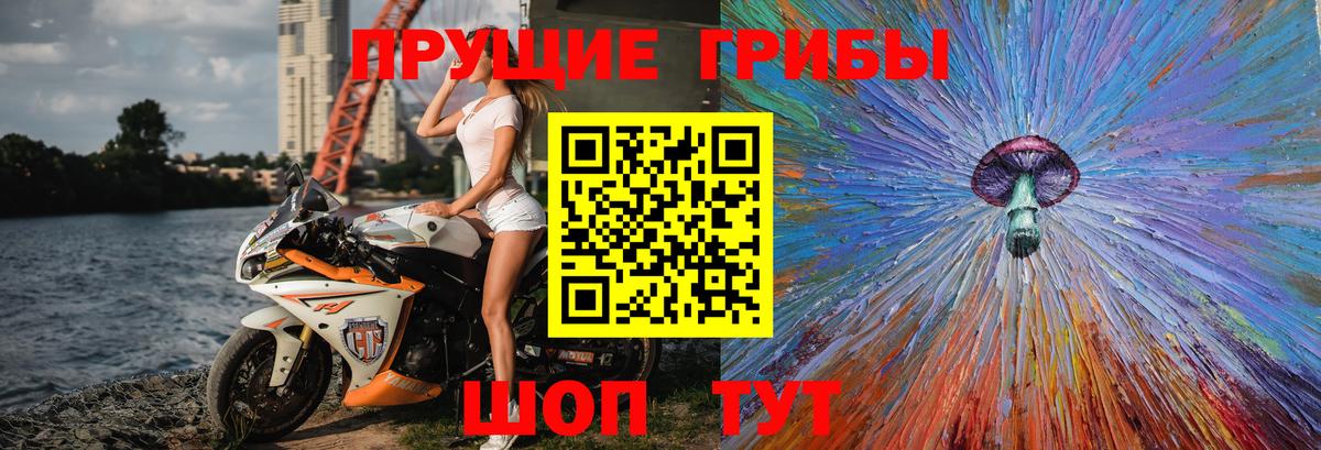 Псилоцибиновые грибы прущие грибы  Вход с VPN  Верхний Уфалей 